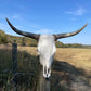 Euro Mount Highland Skull