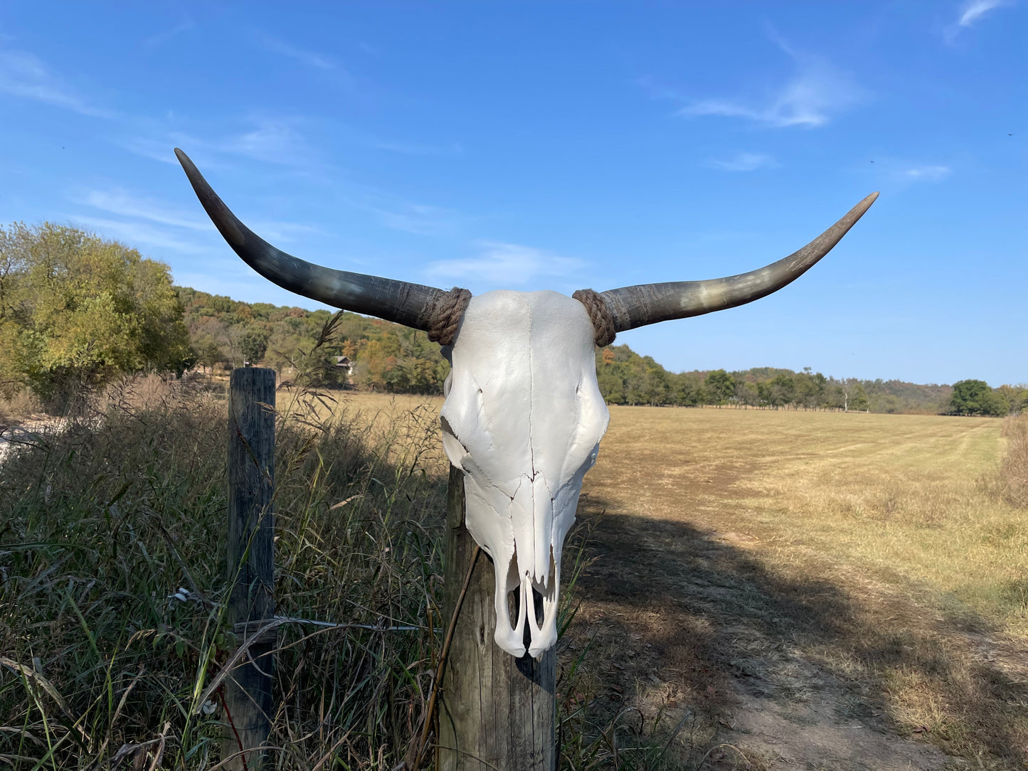 Euro Mount Highland Skull