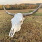 Euro Mount Highland Skull