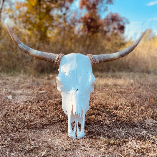 Euro Mount Highland Skull