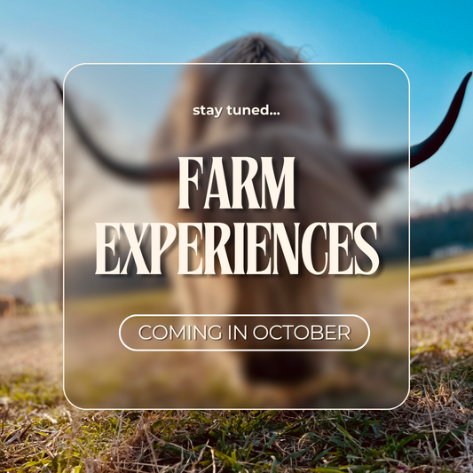 FARM Experience
